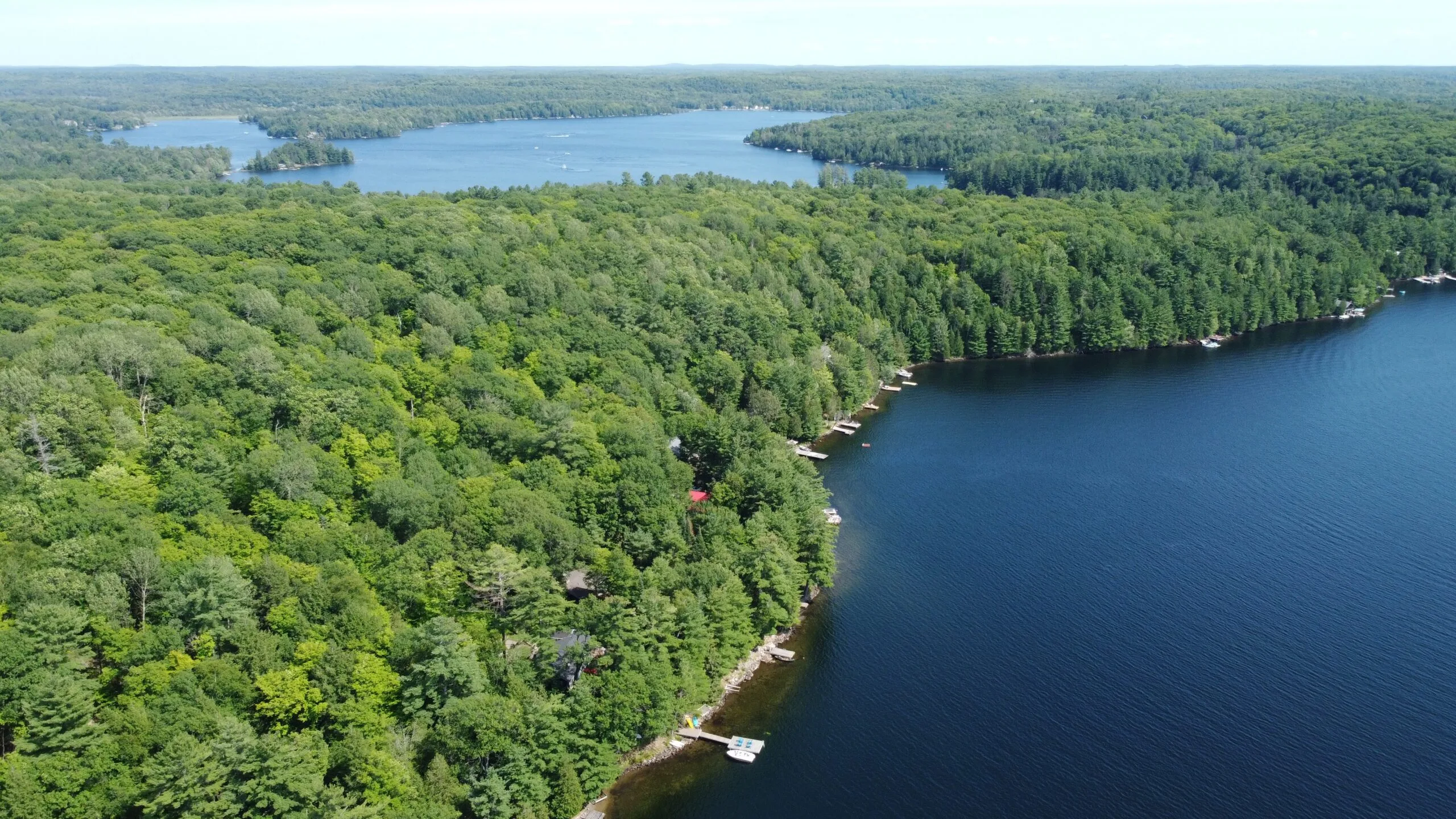 Rolling hills and forest surrounding Minden, Ontario